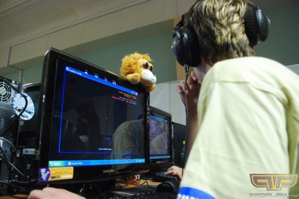 Даже плющевые игрушки устали от каэса Даже плющевые игрушки устали от каэса